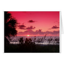 Puestas del sol en rosa tarjeton