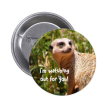 Puesto de observación de Meerkat Pin