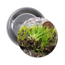 Puesto en peligro estera-formando el quillwort (te pins