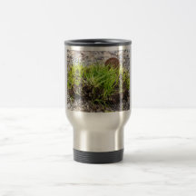 Puesto en peligro estera-formando el quillwort (te tazas de café