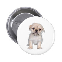 "Pug-Zu" Anstecknadelbuttons