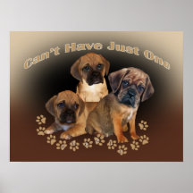 Puggle no puede tener apenas un poster