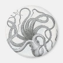 Pulpo Iman De Nevera