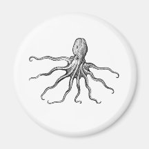 Pulpo Iman Para Frigorífico