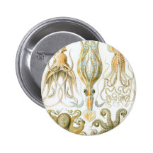 Pulpo y calamar pin