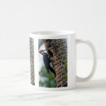 Pulsación de corriente de Pileated Tazas