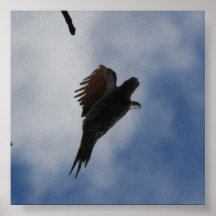 Pulsación de corriente en vuelo poster