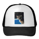 Puma Cub Gorro