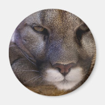 Puma Imán De Frigorífico