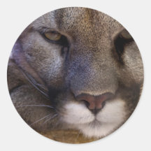 Puma Pegatina