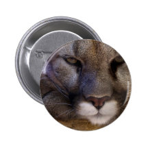 Puma Pins
