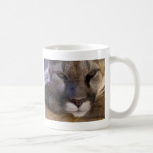 Puma Tazas De Café