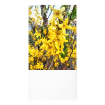 Puntilla del Forsythia Tarjeta Con Foto Personalizada
