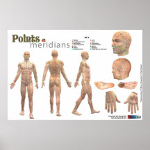 Puntos y meridianos del cuerpo - anotado impresiones