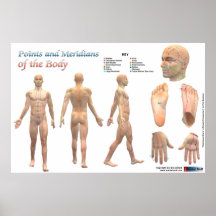 Puntos y meridianos del cuerpo posters