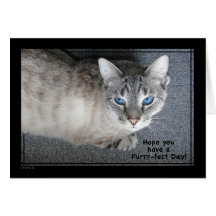Purfect Romeo - tarjeta de felicitación del día pe