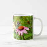 Púrpura Coneflower de la mariposa Tazas