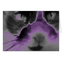 Púrpura de neón del gato tarjeta