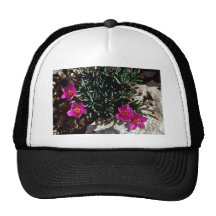 pursline gorros bordados