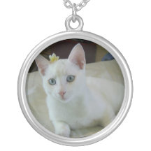 Puss bonito joyeria personalizada