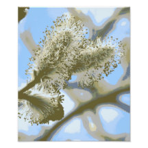 Pussywillows Arte Fotográfico