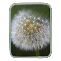 Pusteblume Manga De iPad