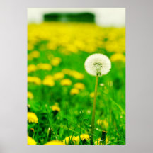 Pusteblume Poster