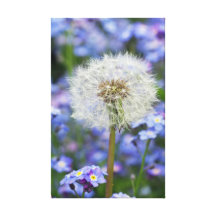 Pusteblumen Liebe Leinwand Druck