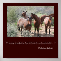 Quarterhorses de MLH Impresiones