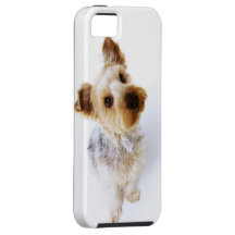 ¿Qué? l Yorkshire Terrier lindo iPhone 5 Case-Mate Coberturas