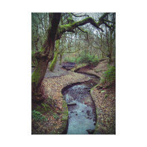 Quebrada de Prestwich Impresiones En Lienzo Estiradas