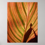 Quemado Posters