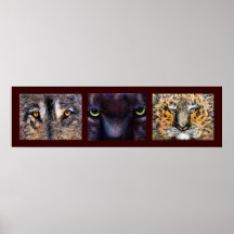 Quién está mirando el poster de los ojos