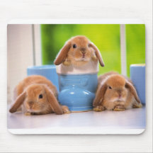 rabbit in mag マウスパッド