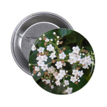 Racimo de flores blancas pins