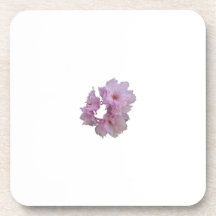 Racimo de la flor de cerezo posavasos de bebida