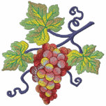 Racimo de la uva