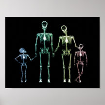 Radiografíe a mi familia posters