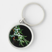Rama de árbol de pino llaveros personalizados