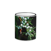 Rama de árbol de pino tazas