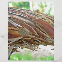 Rama de Brown Stringybark Tarjetones