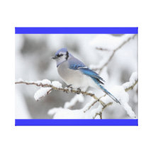 RAMA DE LA NIEVE IMPRESIONES EN LIENZO ESTIRADAS