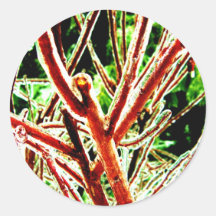 Rama helada pegatinas redondas