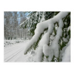 Rama Nevado Tarjeta Postal