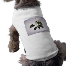Rama verde oscuro aislada de las hojas camisetas mascota