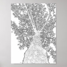 Ramas altas posters