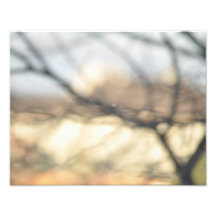 Ramas Bokeh Fotografía