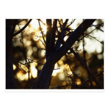 Ramas crepusculares postal