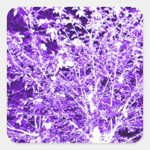 Ramas de árbol abstractas violetas púrpuras etiquetas  