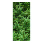ramas de árbol de navidad tarjetas publicitarias